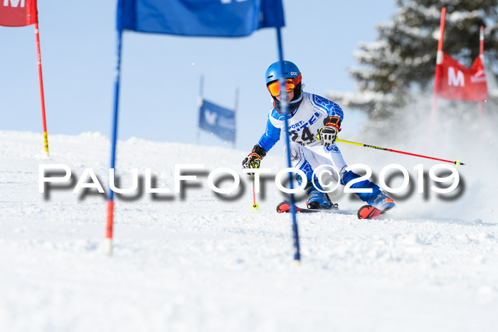 SVM U8, U10, U12, SechzgerPokal 2019