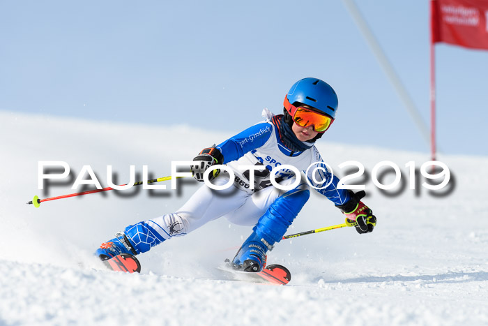 SVM U8, U10, U12, SechzgerPokal 2019