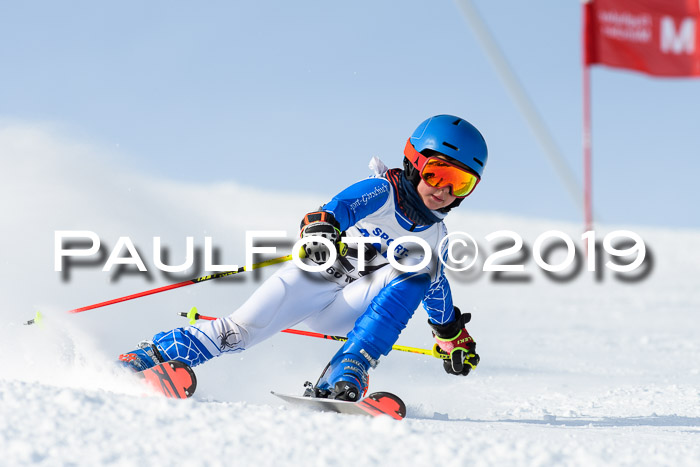 SVM U8, U10, U12, SechzgerPokal 2019
