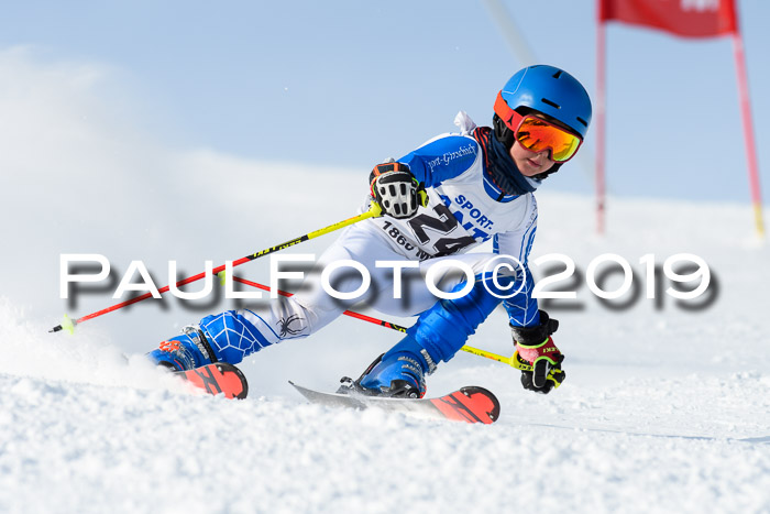SVM U8, U10, U12, SechzgerPokal 2019
