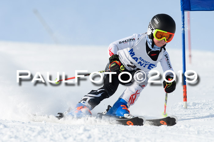 SVM U8, U10, U12, SechzgerPokal 2019