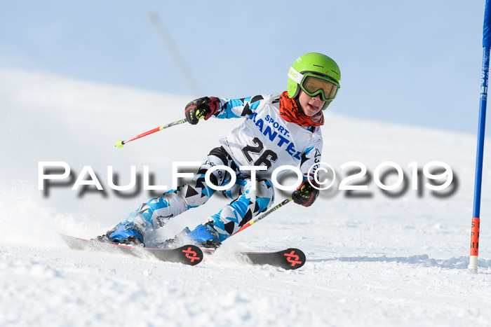 SVM U8, U10, U12, SechzgerPokal 2019