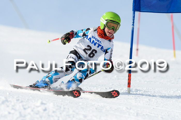 SVM U8, U10, U12, SechzgerPokal 2019