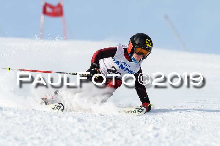 SVM U8, U10, U12, SechzgerPokal 2019