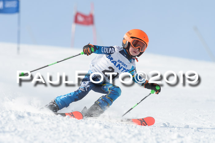 SVM U8, U10, U12, SechzgerPokal 2019