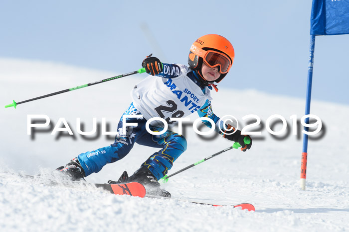 SVM U8, U10, U12, SechzgerPokal 2019