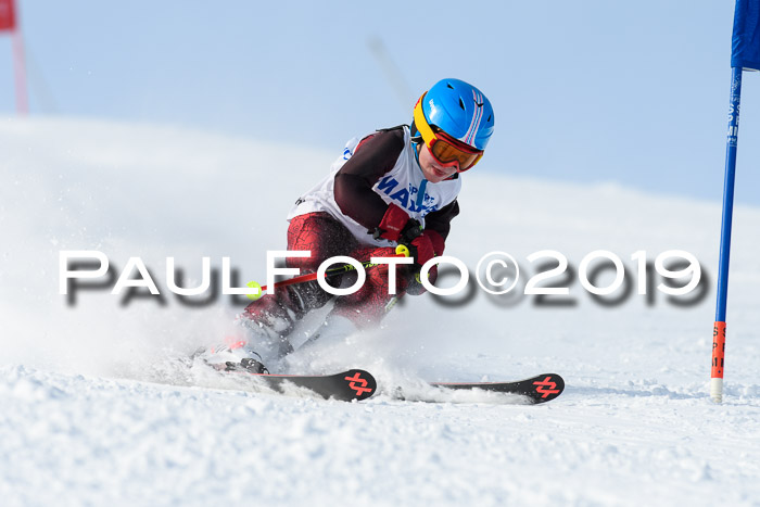 SVM U8, U10, U12, SechzgerPokal 2019