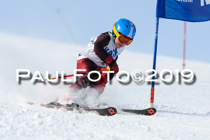 SVM U8, U10, U12, SechzgerPokal 2019