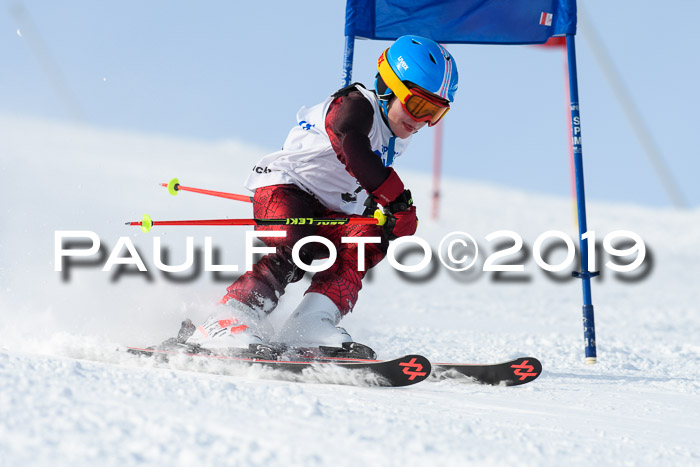 SVM U8, U10, U12, SechzgerPokal 2019