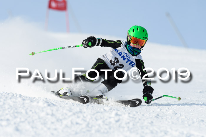 SVM U8, U10, U12, SechzgerPokal 2019