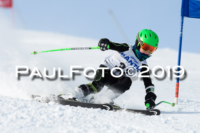 SVM U8, U10, U12, SechzgerPokal 2019