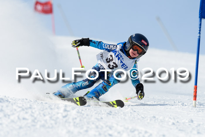 SVM U8, U10, U12, SechzgerPokal 2019