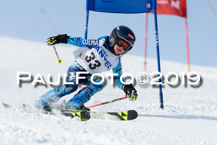 SVM U8, U10, U12, SechzgerPokal 2019