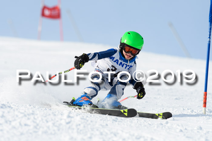 SVM U8, U10, U12, SechzgerPokal 2019