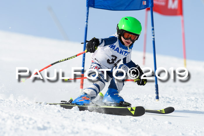 SVM U8, U10, U12, SechzgerPokal 2019
