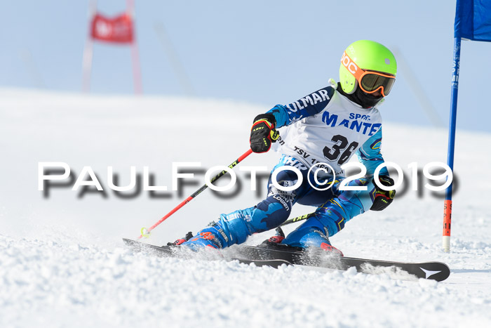 SVM U8, U10, U12, SechzgerPokal 2019