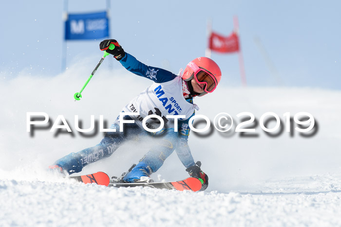 SVM U8, U10, U12, SechzgerPokal 2019