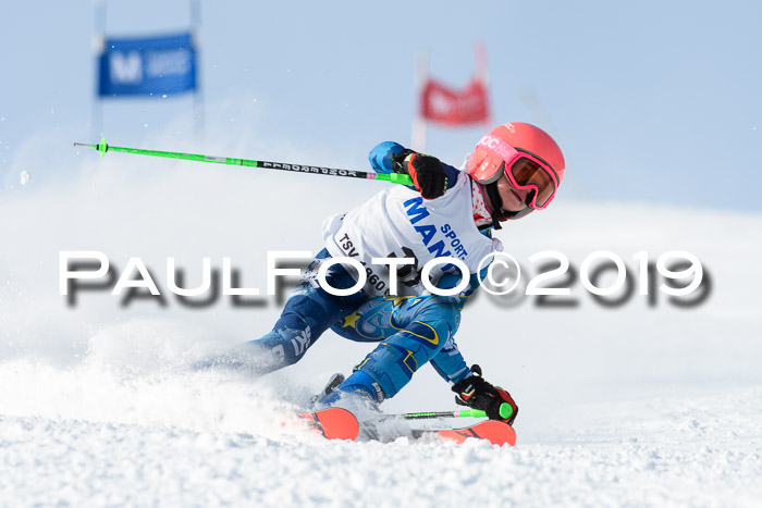 SVM U8, U10, U12, SechzgerPokal 2019