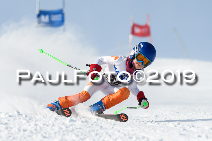 SVM U8, U10, U12, SechzgerPokal 2019