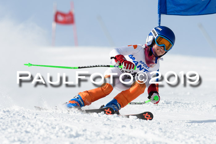 SVM U8, U10, U12, SechzgerPokal 2019