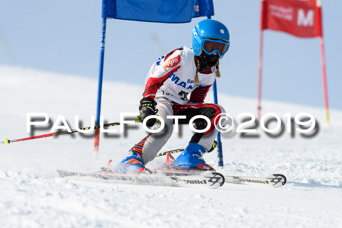 SVM U8, U10, U12, SechzgerPokal 2019
