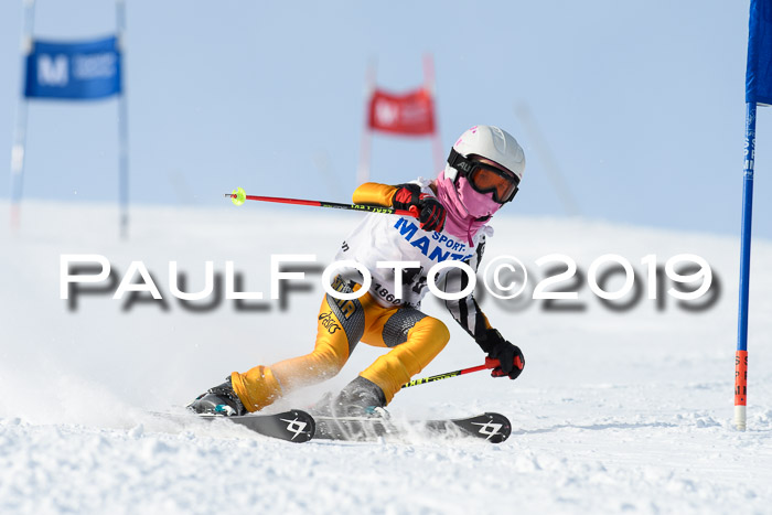 SVM U8, U10, U12, SechzgerPokal 2019