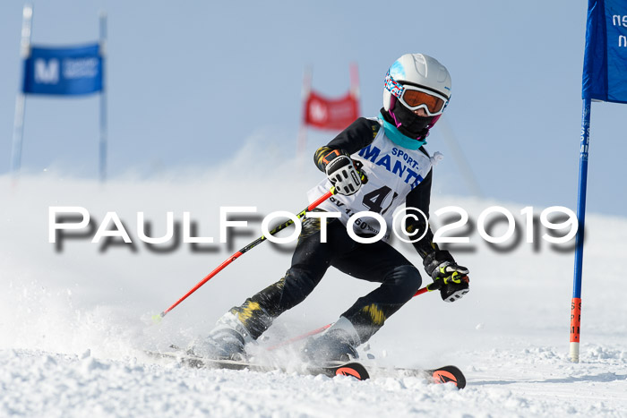 SVM U8, U10, U12, SechzgerPokal 2019