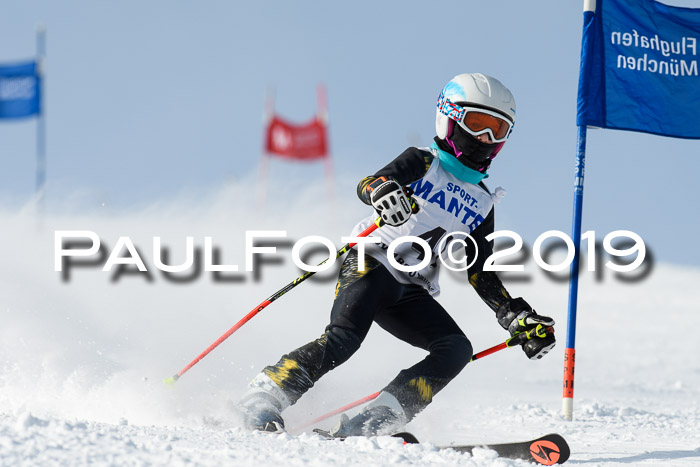 SVM U8, U10, U12, SechzgerPokal 2019
