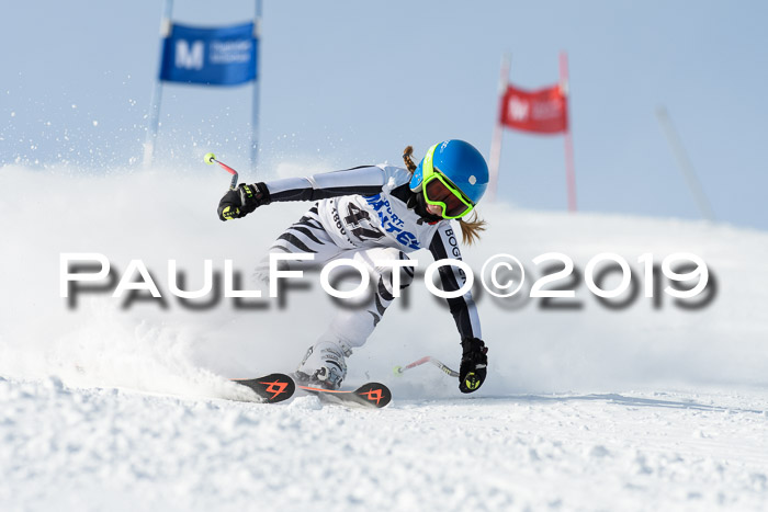 SVM U8, U10, U12, SechzgerPokal 2019