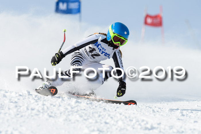 SVM U8, U10, U12, SechzgerPokal 2019
