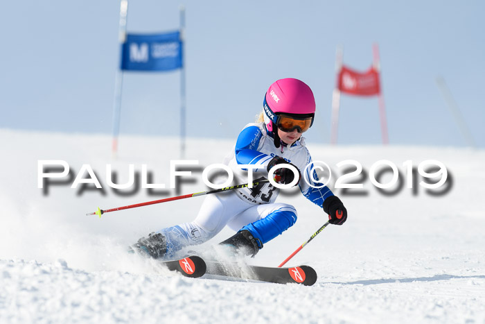 SVM U8, U10, U12, SechzgerPokal 2019