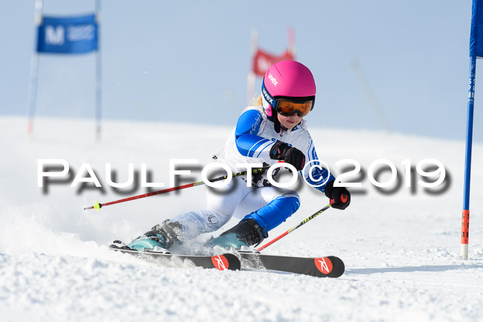 SVM U8, U10, U12, SechzgerPokal 2019