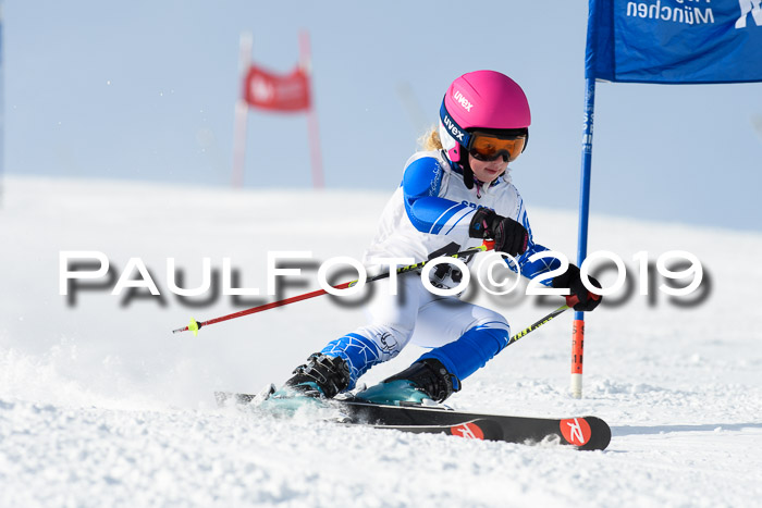 SVM U8, U10, U12, SechzgerPokal 2019