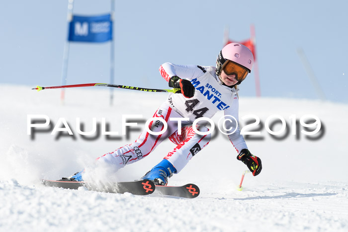 SVM U8, U10, U12, SechzgerPokal 2019