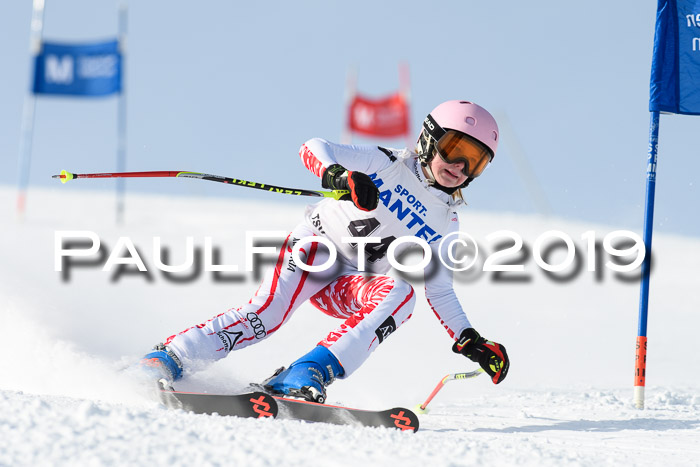 SVM U8, U10, U12, SechzgerPokal 2019