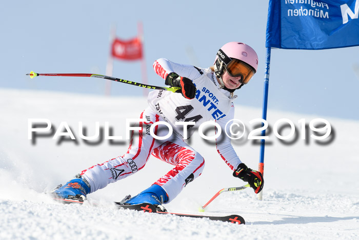 SVM U8, U10, U12, SechzgerPokal 2019