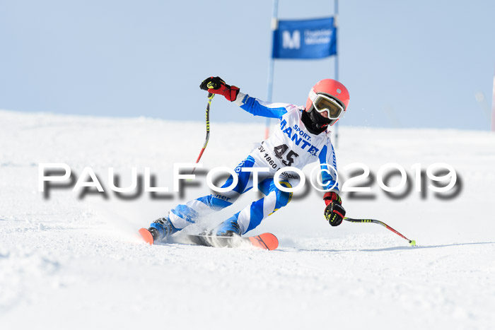 SVM U8, U10, U12, SechzgerPokal 2019