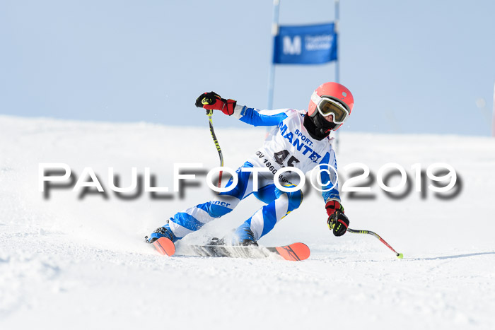 SVM U8, U10, U12, SechzgerPokal 2019