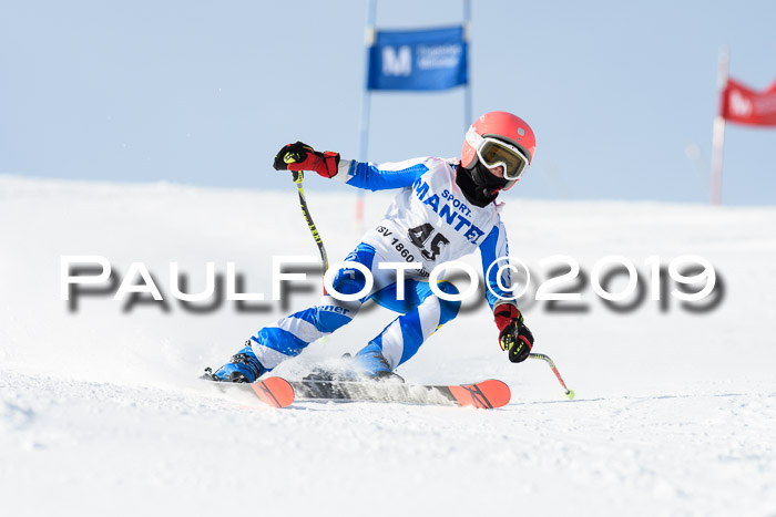 SVM U8, U10, U12, SechzgerPokal 2019
