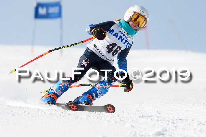 SVM U8, U10, U12, SechzgerPokal 2019