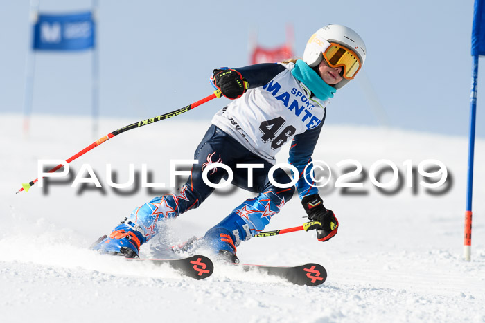 SVM U8, U10, U12, SechzgerPokal 2019