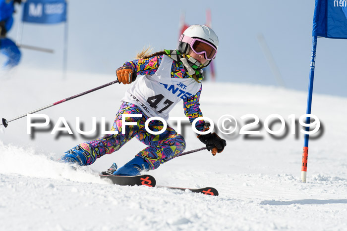 SVM U8, U10, U12, SechzgerPokal 2019