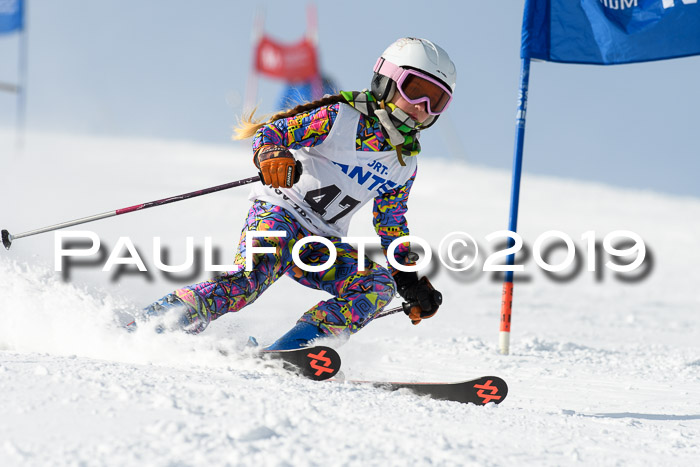 SVM U8, U10, U12, SechzgerPokal 2019