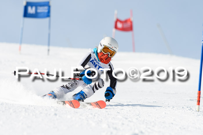 SVM U8, U10, U12, SechzgerPokal 2019