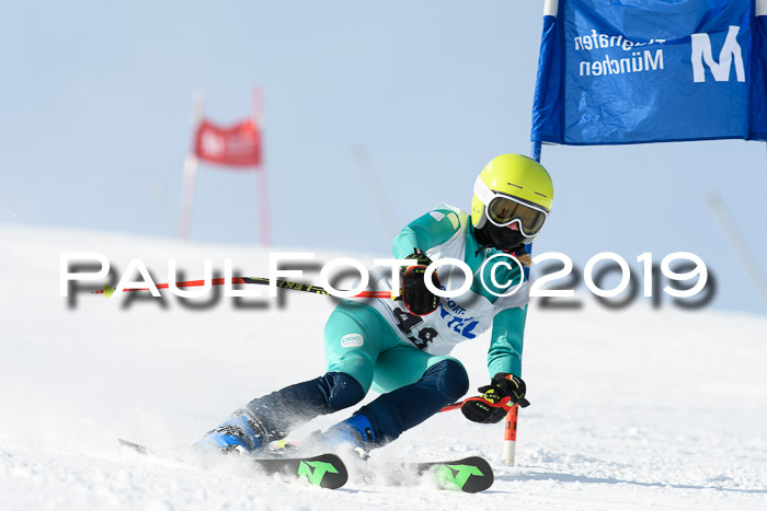 SVM U8, U10, U12, SechzgerPokal 2019