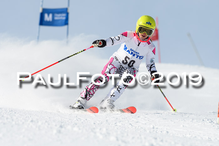 SVM U8, U10, U12, SechzgerPokal 2019