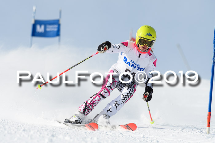 SVM U8, U10, U12, SechzgerPokal 2019