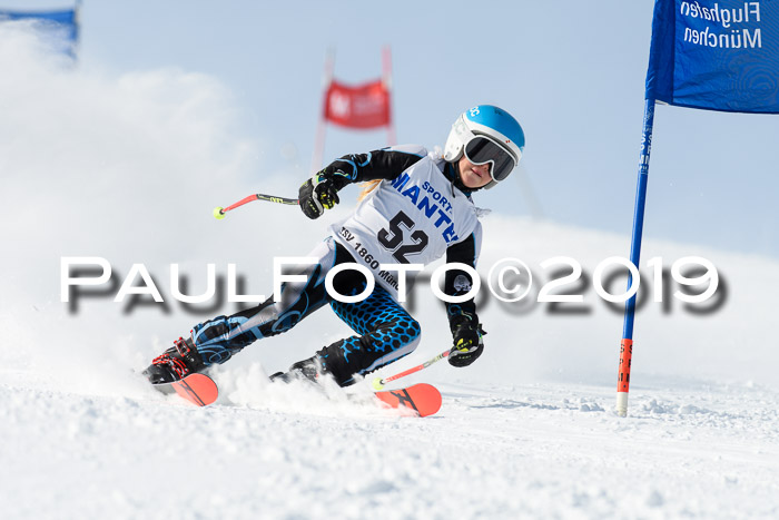 SVM U8, U10, U12, SechzgerPokal 2019