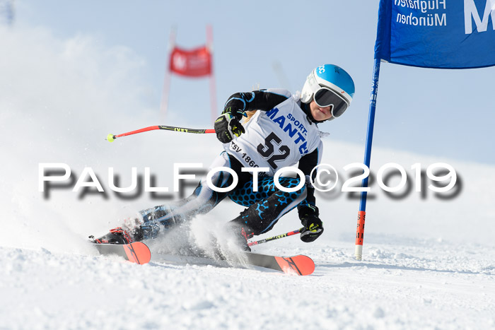 SVM U8, U10, U12, SechzgerPokal 2019