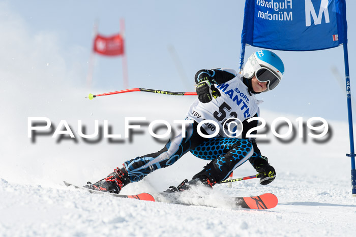 SVM U8, U10, U12, SechzgerPokal 2019